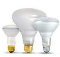 Incandescent Bulbs